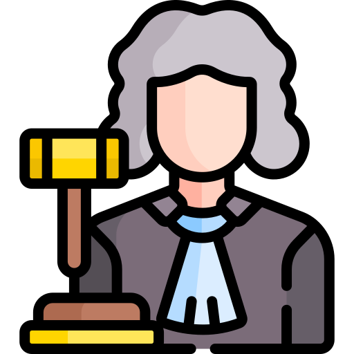 Court Representation